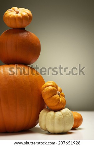 Variety of pumpkins over colored background