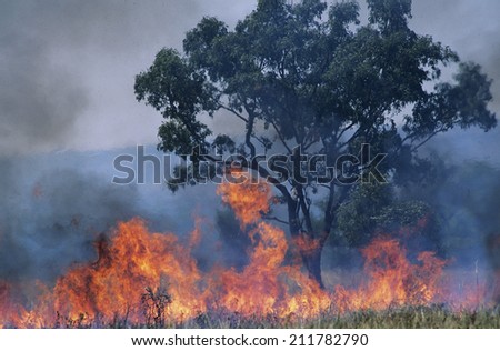 Australia Bush fire
