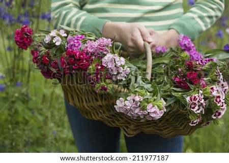 Closeup midsection of a woman holding basket of flowers