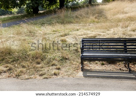 Empty park bench at park