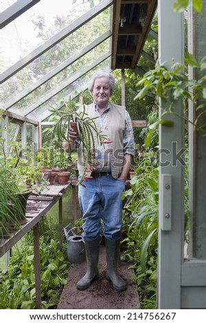 Full length portrait of senior man holding flower plant in greenhouse