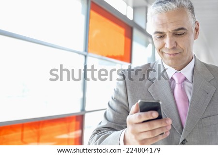 Middle aged businessman using cell phone at railroad station