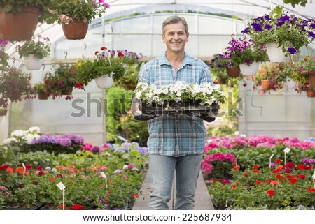 Portrait of happy gardener carrying crate with flower pots in greenhouse