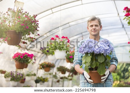 Portrait of confident gardener holding flower pot in greenhouse