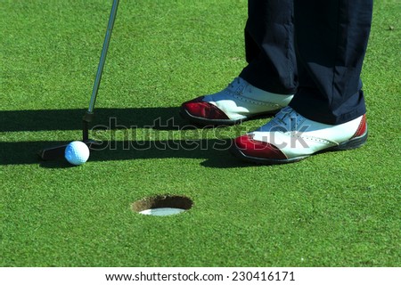 Close up of person putting golf ball on golf course
