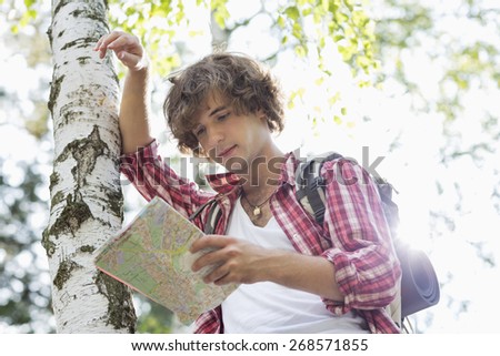 Male backpacker reading map while leaning on tree trunk in forest