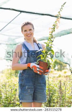 Portrait of happy gardener holding potted plants at greenhouse