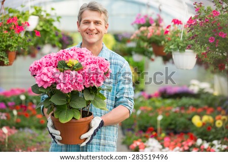 Portrait of happy gardener holding flower pot in greenhouse