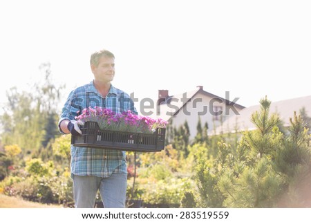 Gardener walking while carrying crate of flower pots in garden