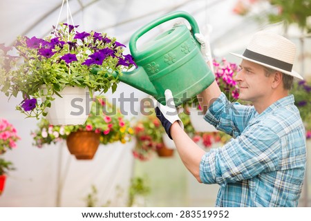 Side view of middle-aged man watering flower plants in greenhouse