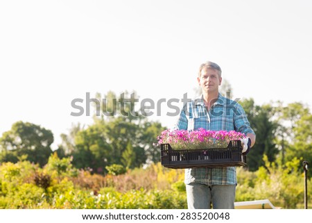 Portrait of gardener carrying crate with flower pots in garden