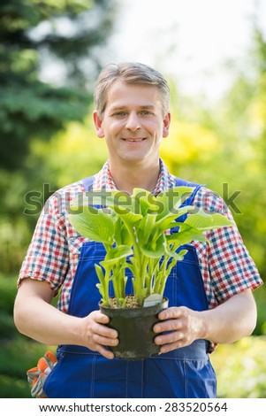 Portrait of happy gardener holding potted plant at nursery