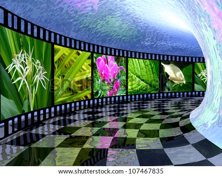 Film roll with color pictures (nature) in the checked tunnel.