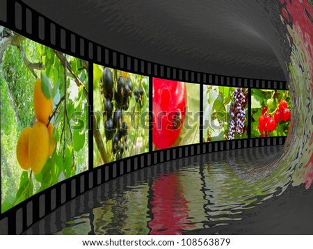 Film roll with color pictures (nature) in the tunnel.
