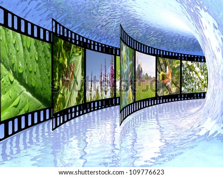 Film rolls with color pictures (nature) in the blue tunnel.