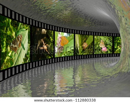 Film roll with color pictures (nature) in the tunnel.