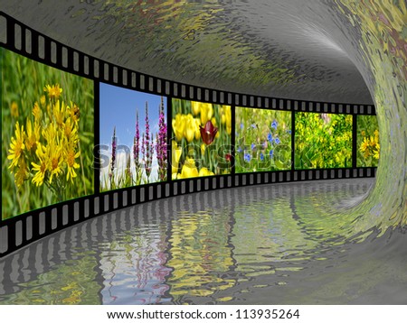 Film roll with color pictures (nature) in grey tunnel.