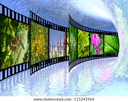 Film roll with color pictures (nature) in the water tunnel.