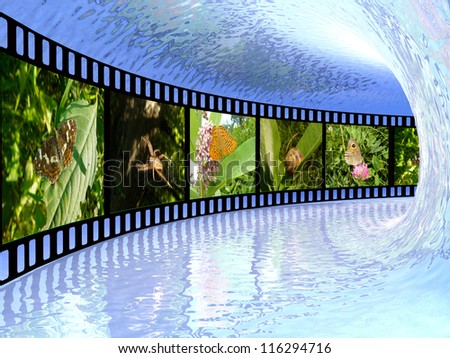 Film roll with color pictures (nature) in the ice tunnel.