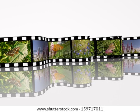 Film roll with color pictures (nature) on white background. All pictures are my own photos.