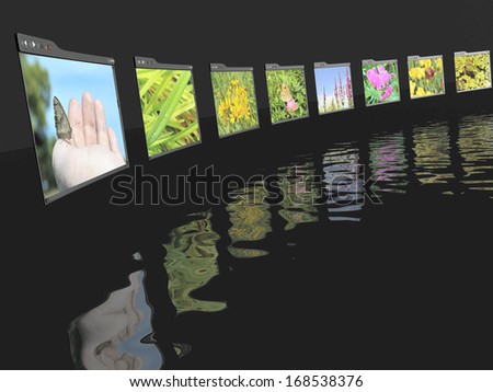 Web pages with pictures (nature) on black reflective background.