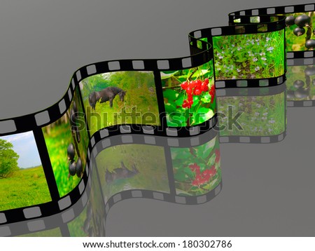 Film roll with color pictures (nature) on grey background. All pictures are my own photos.