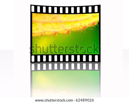 Film frame with color pictures (nature).