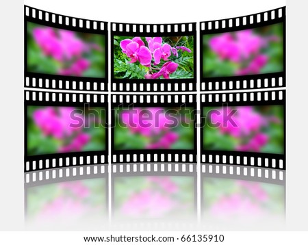 Film frames with color pictures (nature).