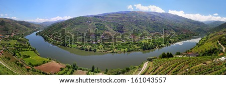 Valley of river Douro with vineyards near Mesao Frio (Portugal) - panoramic view