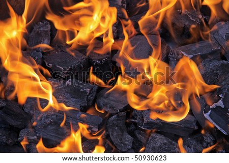 Barbecue Fire