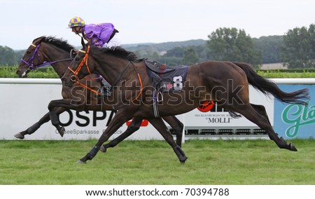 TRADITIONSRENNBAHN BAD DOBERAN, GERMANY - AUGUST 20: Jockeyless horse during a qualifying race on August 20, 2010 in the scope of the \