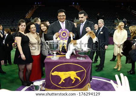 NEW YORK-FEB 11: Sky, a wire fox terrier and handler Gabriel Rangel (2nd R) wins Best In Show at 138th Westminster Kennel Club Dog Show at Madison Square Garden on February 11, 2014  in New York City.