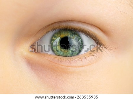 close up of a beautiful green eye