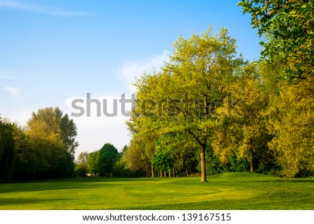 Beautiful summer landscape. green field and trees