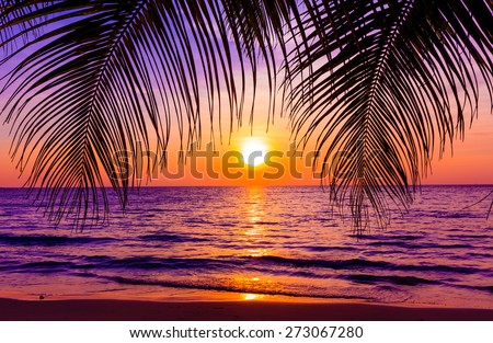 Beautiful sunset.  Sunset over the ocean with tropical palm trees.  Paradise beach