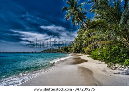 Beach with palm trees. dramatic sky with dark clouds.  Beautiful sea stormy landscape