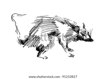 stock vector rat hand drawing black and white sketch