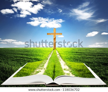 Open bible with grass and a way walking towards a cross Open bible with grass and a way walking towards a cross