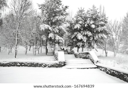 Winter park with stairs and beautiful trees covered snow