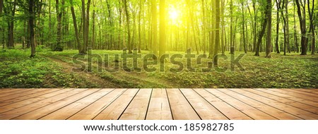 wood textured backgrounds on the forest backgrounds