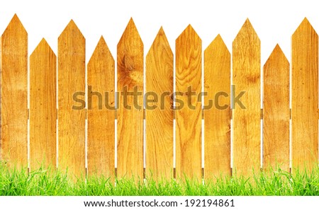 wood fence with green grass isolated