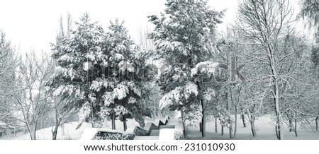 Winter park with stairs and beautiful trees covered snow