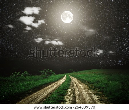 Large beautiful spring the field with a distant kind on a forest in night and bright moon on sky. Elements of this image furnished by NASA