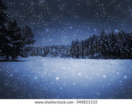 View of night park and many snowflakes