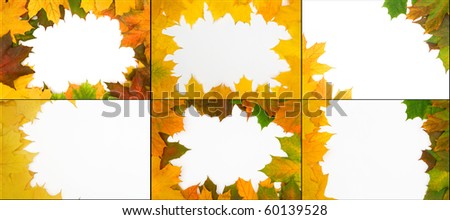Collection of frame built from the autumn leaves of different colors