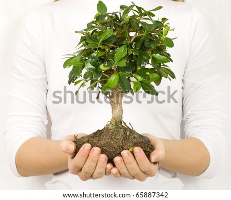 One plant in female hand on white background