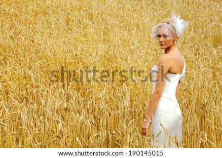 Beautiful bride standing in the field of rye and looking at the camera. Retro or vintage style.