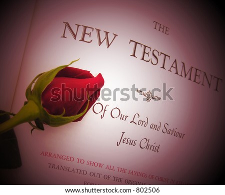 A photo of a rose laying on a bible