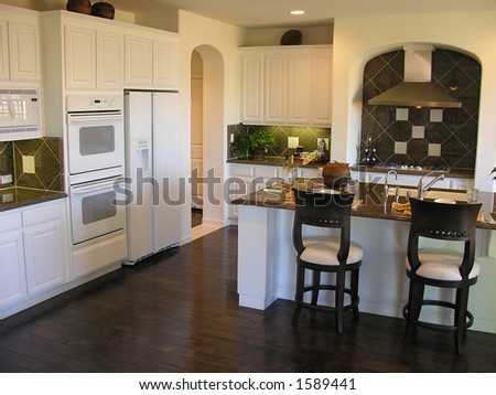 Contemporary kitchen interior