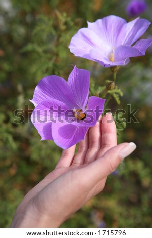 Woman Holding Beautiful Flower